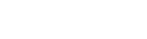 logo light